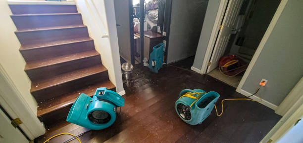 Best Water damage mitigation services  in Diamondhead, MS