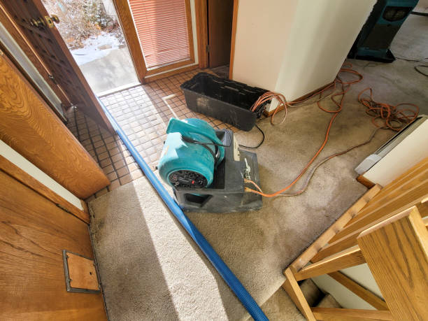 Best Commercial water damage restoration  in Diamondhead, MS