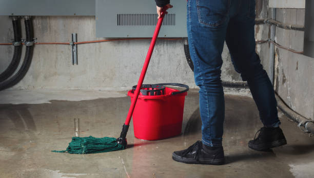 Best Sewage cleanup and water damage restoration  in Diamondhead, MS