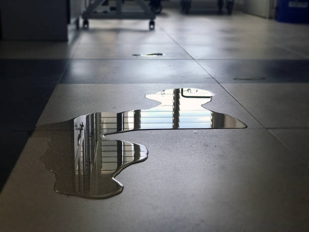 Best Water damage restoration services  in Diamondhead, MS