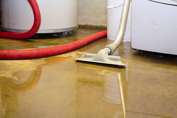 , MS Water damage restoration Company