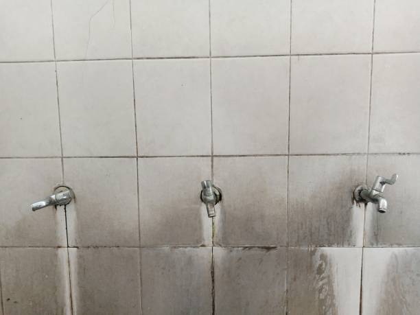 Best Emergency water extraction  in Diamondhead, MS