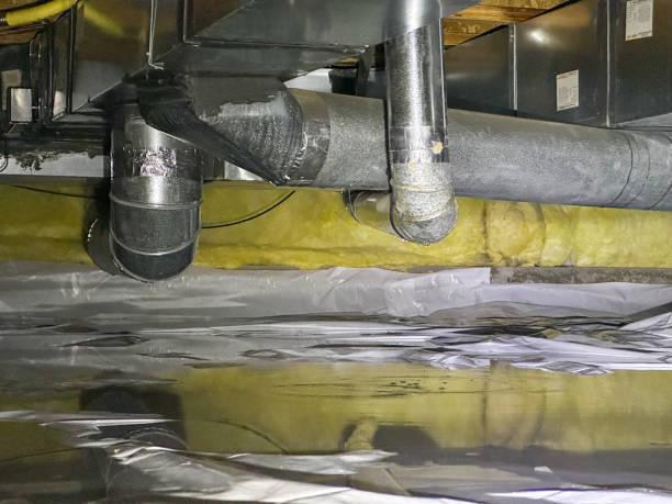 Best Mold removal after water damage  in Diamondhead, MS