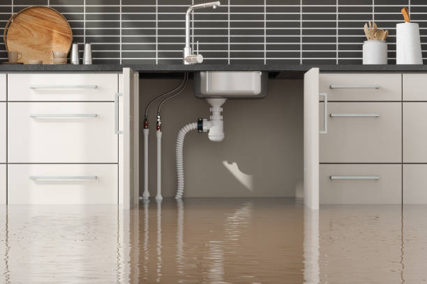  Diamondhead, MS Water damage restoration Pros