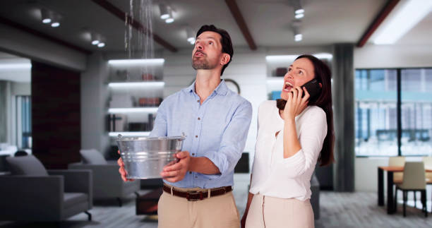 Best Fire Damage Restoration  in Diamondhead, MS