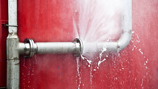 Best Water damage cleanup near me  in Diamondhead, MS