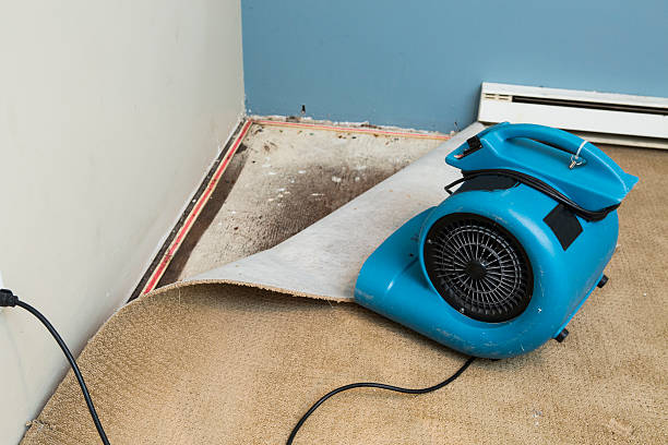 Best Fire Damage Restoration  in Diamondhead, MS
